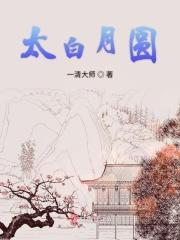 太白月圆共长生是那首诗