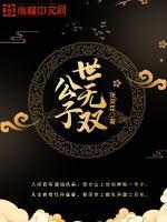 公子世无双书籍