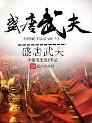 盛唐风流武状元免费
