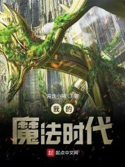 我的魔法时代作者