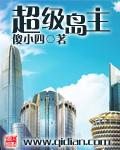 超级大岛主2