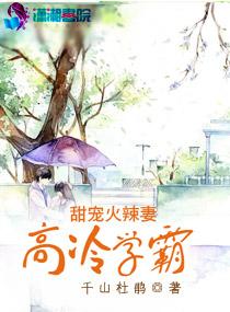 高冷学霸追妻忙