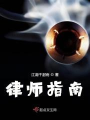 律师指导价格