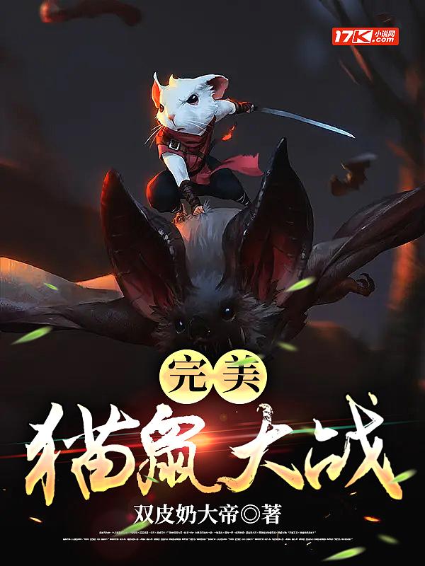 电影猫鼠大战