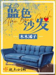 蓝色沙发套