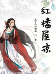 红楼梦屋子