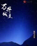 万界之我是城主