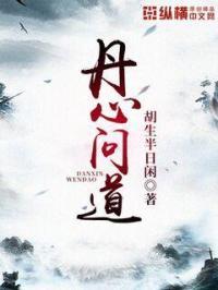 问丹心pdf