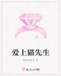 爱上一只猫