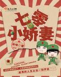 类似农家内掌柜的