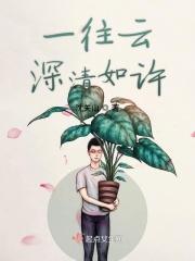 一往深情 释义