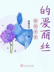 致爱丽丝完整版视频