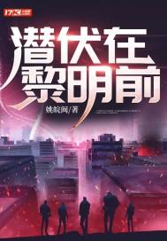 潜伏在黎明前多少集?