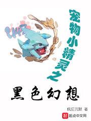 宠物小精灵黑攻略