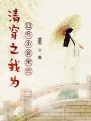 清穿之四爷侍妾宋小月