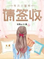 有一只小猫