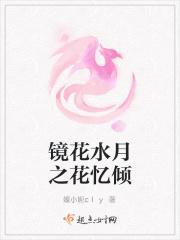 镜花水月传