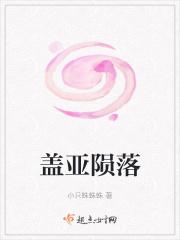 盖亚 v1