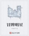 神秘巨星电影