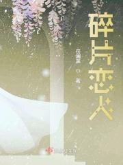 碎片的碎片