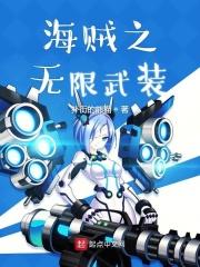 海贼之神级武装系统