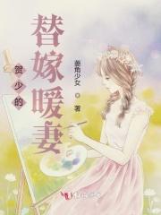 贺少的暖婚闪婚暖妻