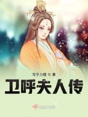 卫夫人电视剧