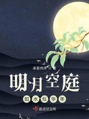 明月当空似玉盘
