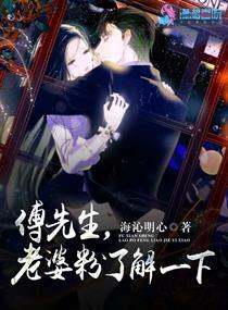 傅先生的老婆粉全文免费阅读