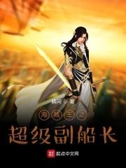 海贼王之副船长txt