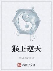 搜索猴王