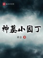 神墓是小白文吗