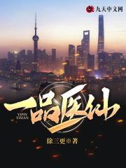 一品医仙俯瞰山河