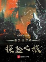 在异界的奇妙冒险