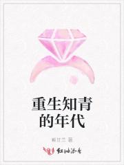 重生知青年代文