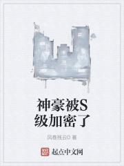 神豪等级