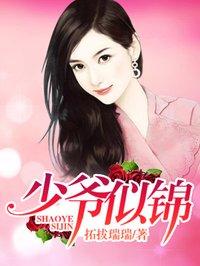 少爷的情深似海