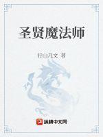 魔法师 贤者 大贤者