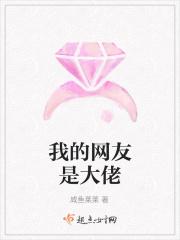 我的网友是大佬免费阅读