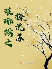 琅琊榜梅长苏飞流文