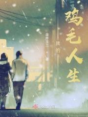 鸡毛阅读答案