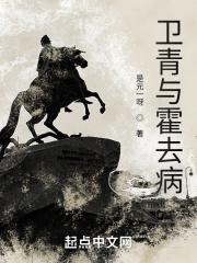 卫青与霍去病的故事