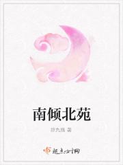 北倾全文免费
