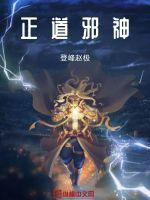 正邪主角身份