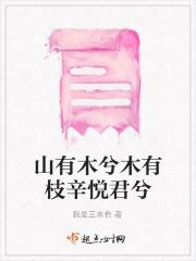 山有木兮木有枝心悦君兮君不知的典故
