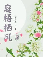 梧桐栖凤凰