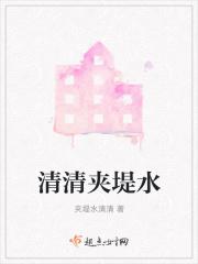 夹堤什么意思