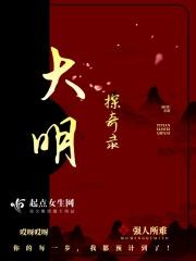 大明奇案录 电影