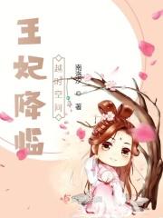 王妃 穿越剧