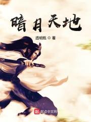 暗月怎么玩